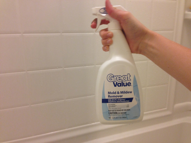mold and mildew remover spray cleaner in front of bathtub surround