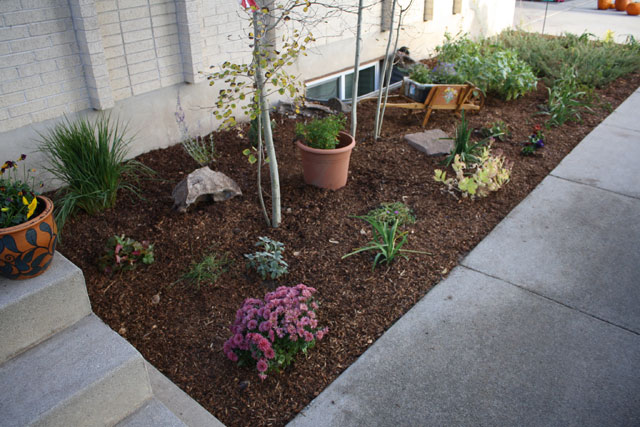 freshly planted flowers with brown mulch in flower bed next to concrete sidewalk and steps