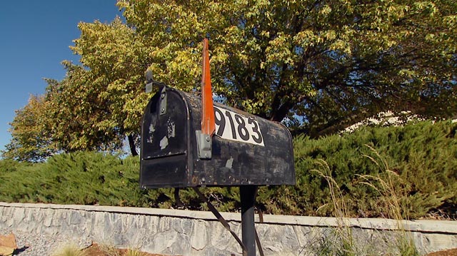 rusty old black metal mailbox in front of landscaped bushes